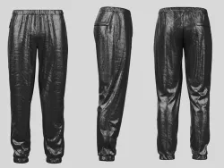 Nylon Pant 3D model