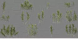 PLANTS grass sprites Low-poly 3D model