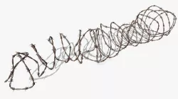Razor Barbed Wire 3D model