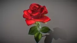 Rose 3D Model 3D model