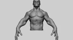 Stylized Creature Upper Body 3D model