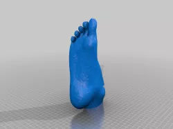 Asawa Foot 3000