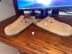 Birkenstock Rivet/Button