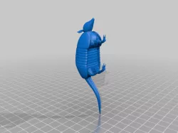 armadillo