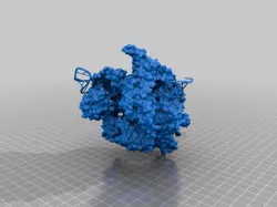 Cas9 target DNA guide RNA complex 