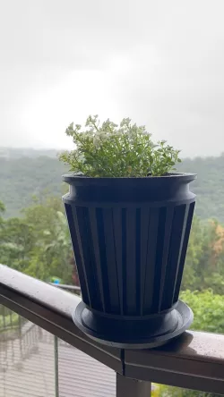 Pot plant and base