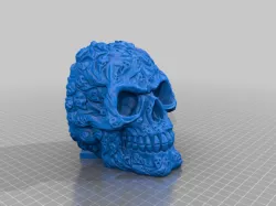 Skull for Evercross Scooter 