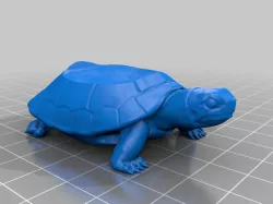 STACKABLE TURTLES