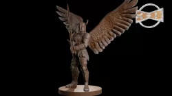 Aasimar Male Paladin
