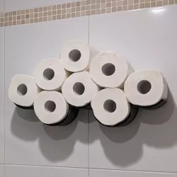 ADHESIVE Toilet Paper Cloud Shelf
