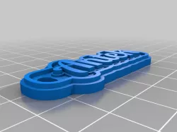 Antek keychain