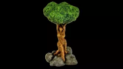 Dryad