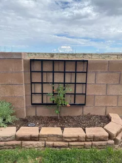 Hanging Trellis Wall Hook
