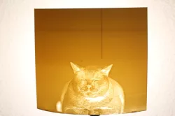 Lampenschirm - lamp shade