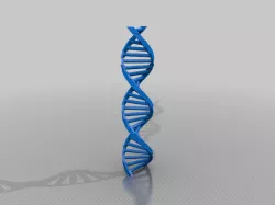 My Customized DNA