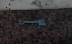 Tiny Shovel