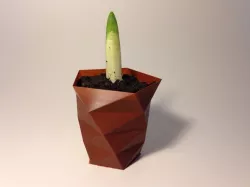 Customizable Twisted Polygon Vase
