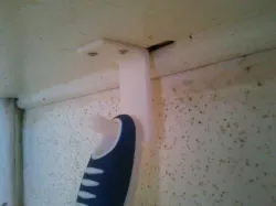 Dish Brush Hook