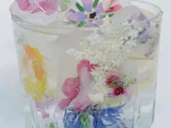 ice cup