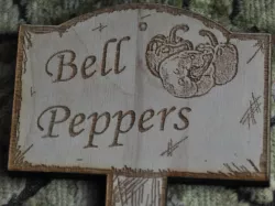 Laser Cut Garden Markers
