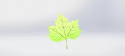 LEAF