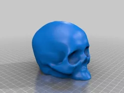 Melted Skull