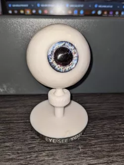 Creepy Eyeball on Swivel Mount