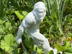 Edited Bigfoot scan