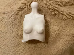 Extra small torso / upper body for 1/3 anime style BJD