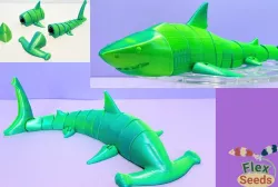 Flexi Shark & Hammerhead Set
