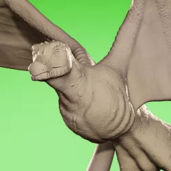 Flying Drake Miniature