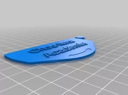 My Customized Systainer Labelled Faceplate