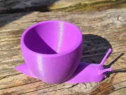 Snail Egg Cup