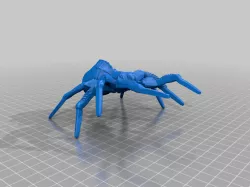 Spiders