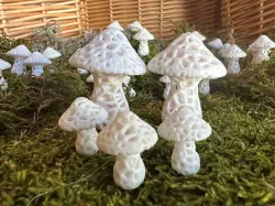 Stochastic Mushroom Magnets 