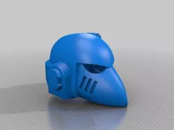 bird safety helmet 