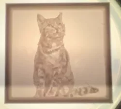 Cat lithophane