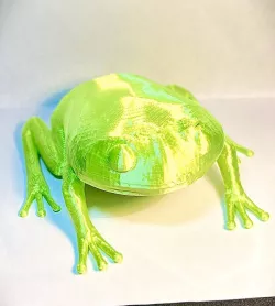 Green tree frog