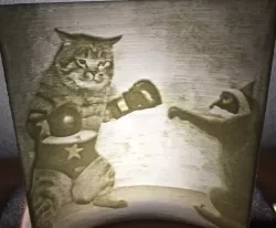 Lithophane of a Cat Fighting a Racoon