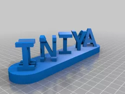 MINI INI