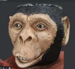 Monkey Face Mug