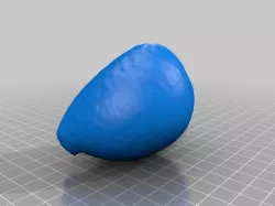 SEA SHELL