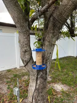 Hanging Bird Feeder