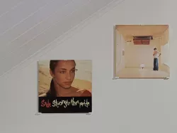 Vinyl record wall mount