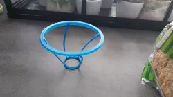 Avocado Seed holder