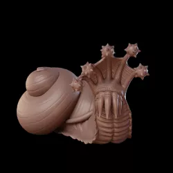 Flail Snail