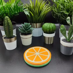 Magnetic Slice Coaster Set