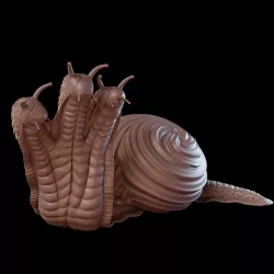 Snail Hydra