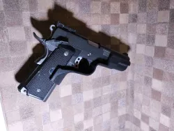 Wall 1911 Mount
