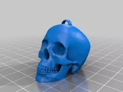 anatomically correct skull keychain